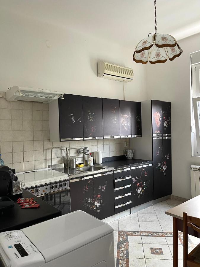 Apartament Apartman Alba Belgrad Zewnętrze zdjęcie